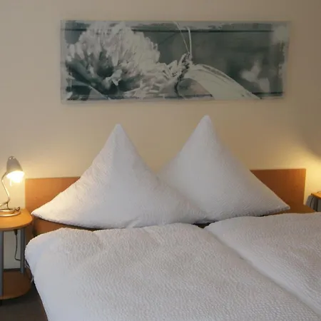 Hotel Carolaruh 3*